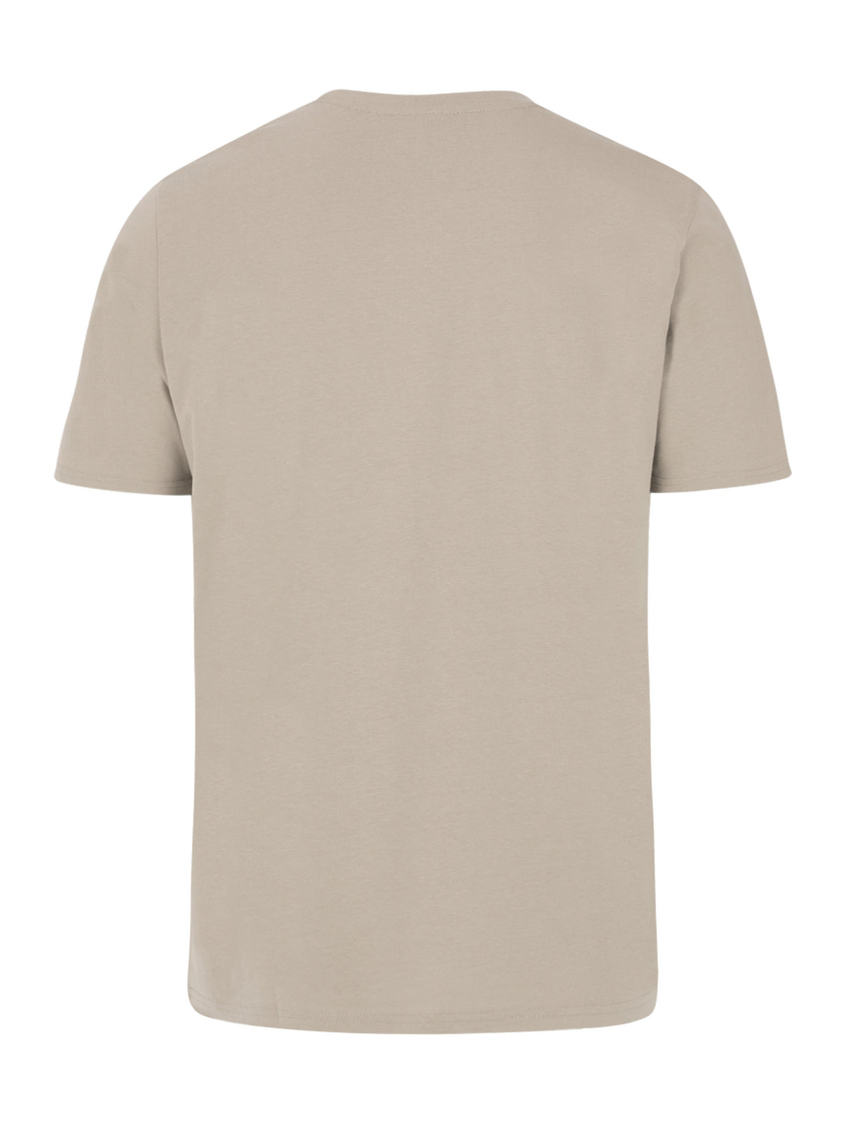 PROTEST PRTRIMBLE t-shirt | BambooBeige