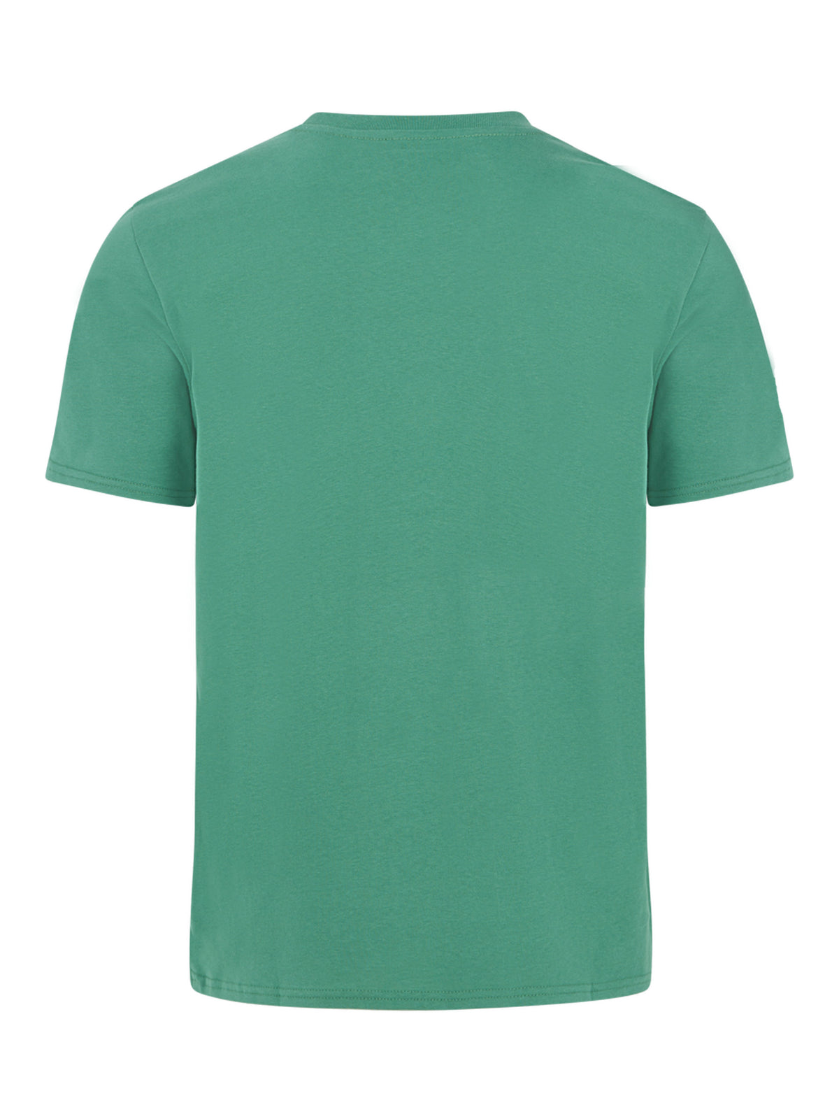 PROTEST PRTSTAN t-shirt | Frosty Green