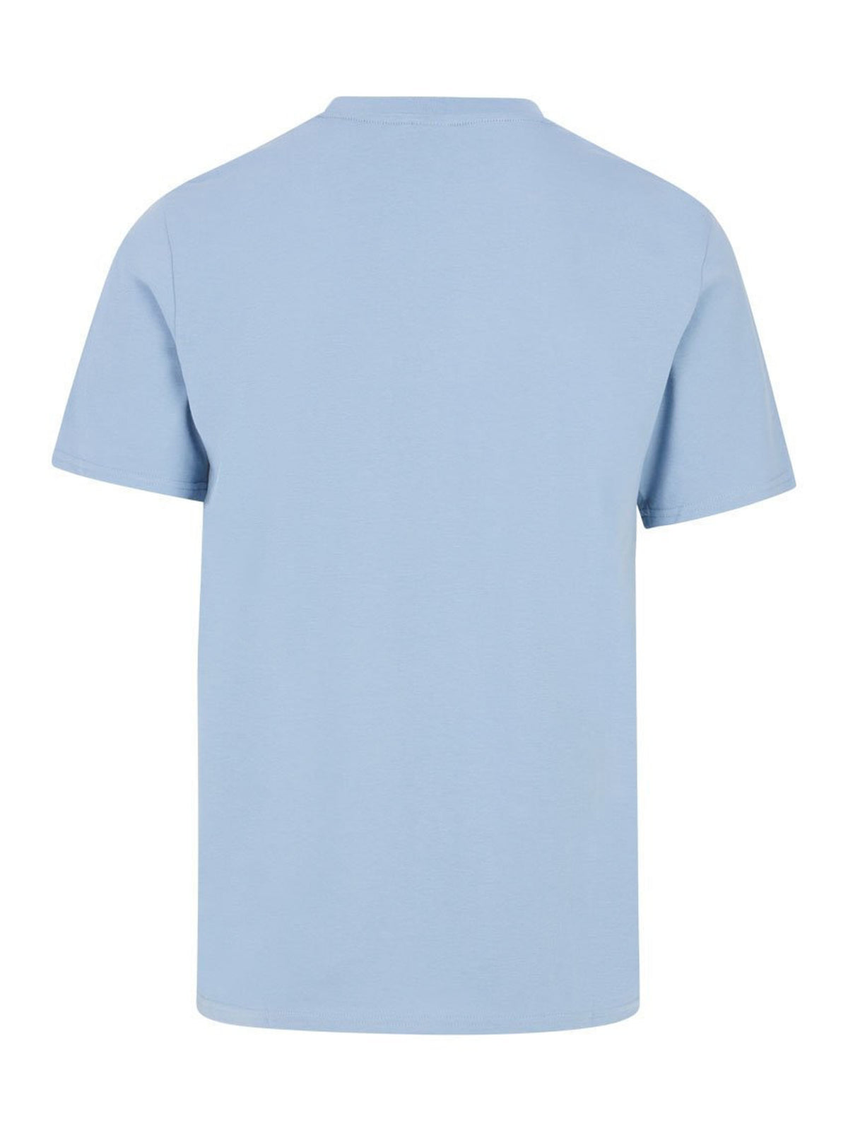 PROTEST PRTRodas T-shirts & Polos | Dusty Blue