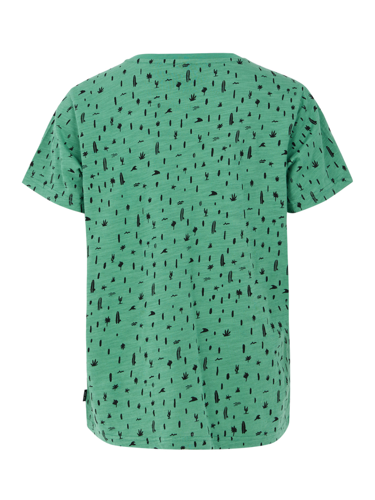 PROTEST PRTFAMES JR t-shirt | Frosty Green