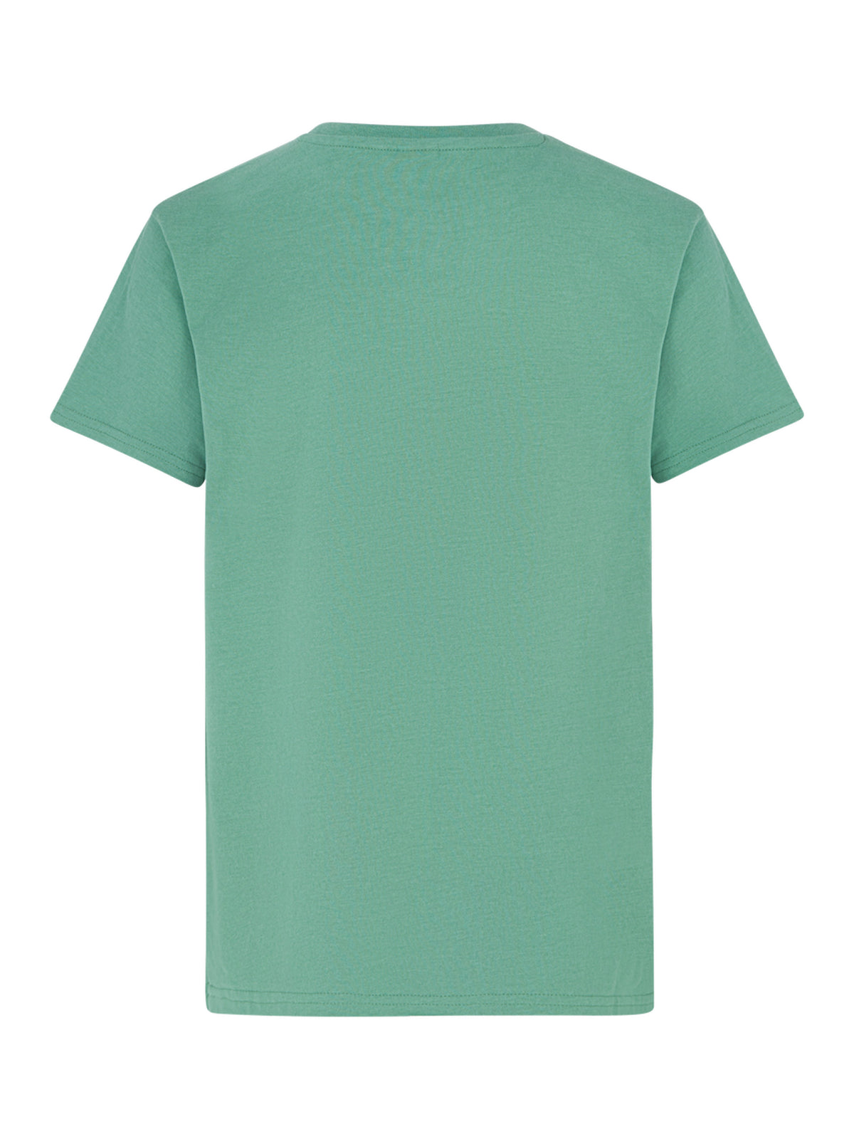 PROTEST PRTLOYD JR T-Shirt | Frosty Green