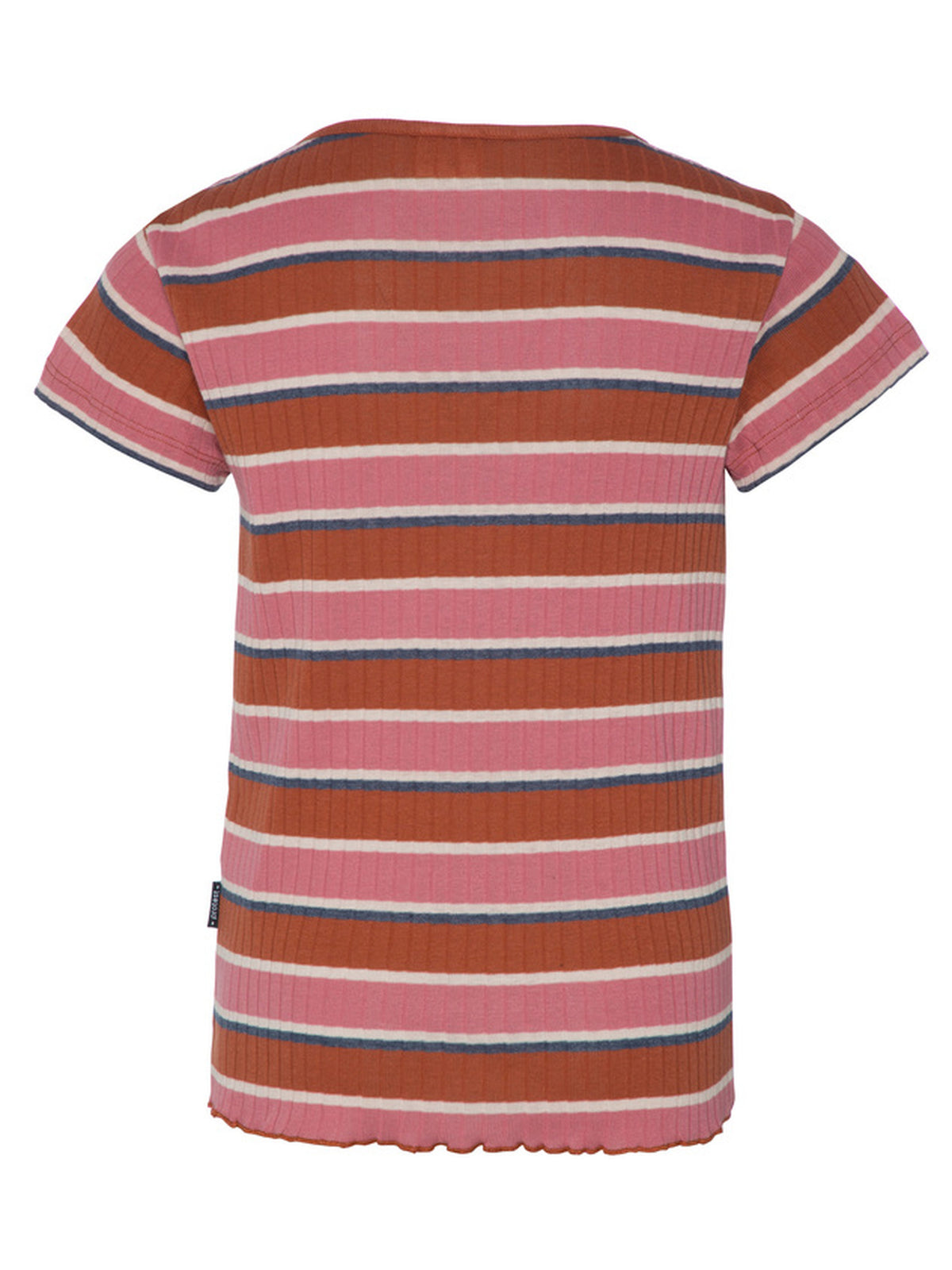 PROTEST PRTNANZIA JR t-shirt | Squirrelbrown