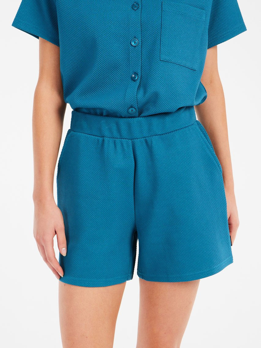 PROTEST PRTSemma Shorts | Surfing Blue