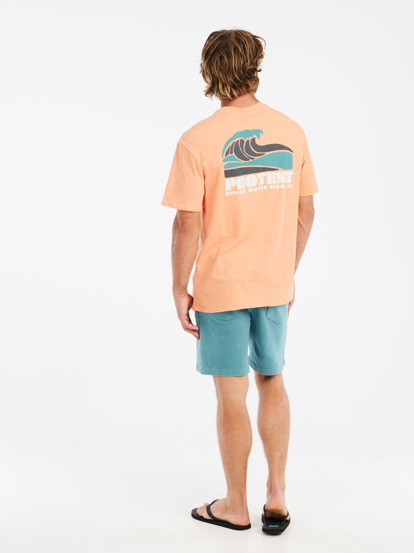 PROTEST PRTHoover Shorts | Arcticgreen