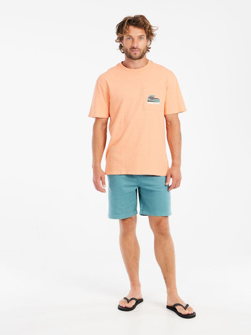 PROTEST PRTHoover Shorts | Arcticgreen