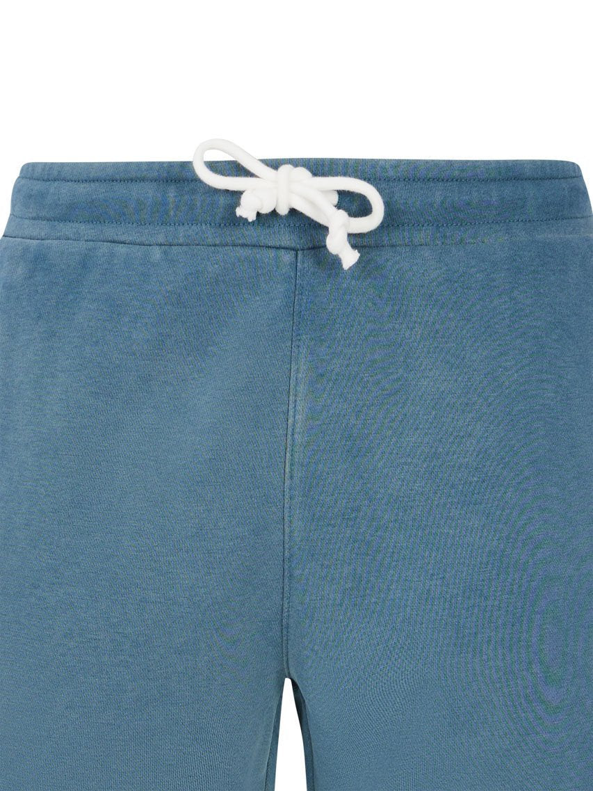PROTEST PRTTedor Shorts | Raku Blue