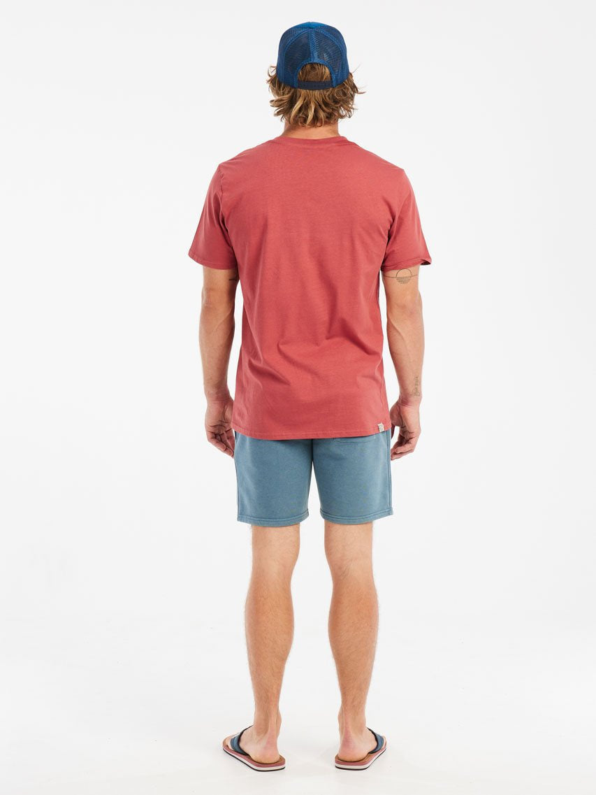 PROTEST PRTTedor Shorts | Raku Blue