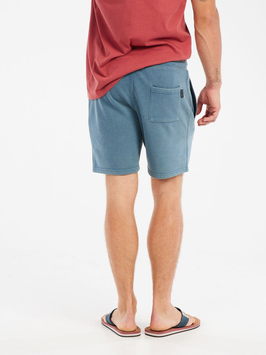 PROTEST PRTTedor Shorts | Raku Blue