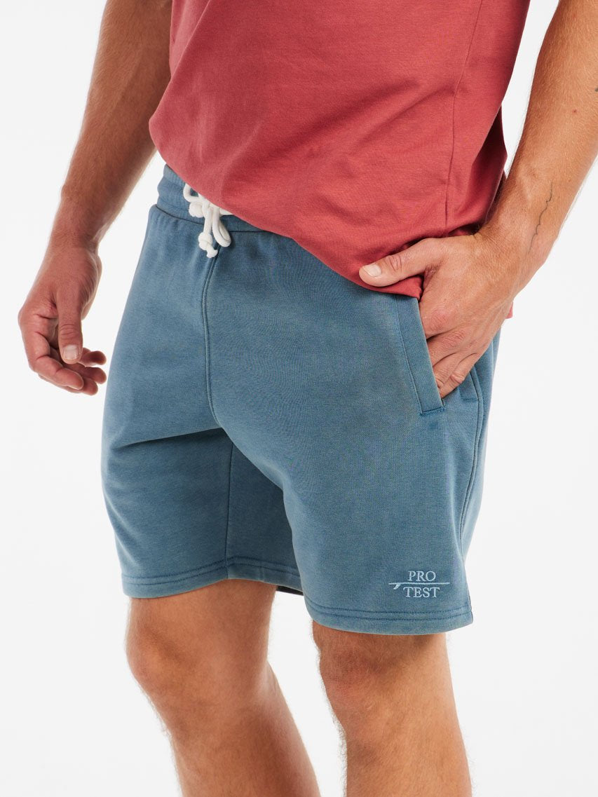 PROTEST PRTTedor Shorts | Raku Blue