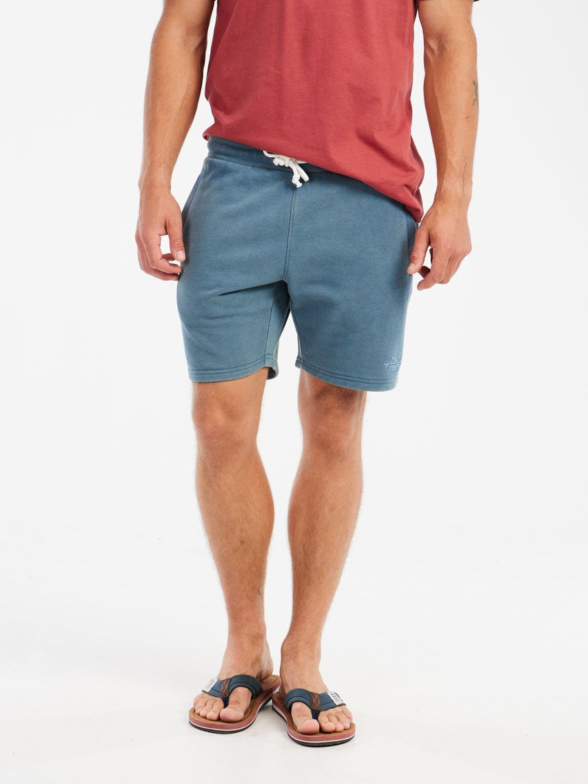 PROTEST PRTTedor Shorts | Raku Blue
