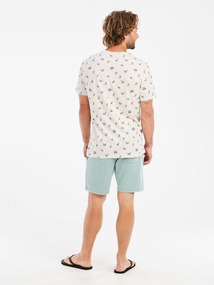 PROTEST PRTTedor Shorts | Arcticgreen