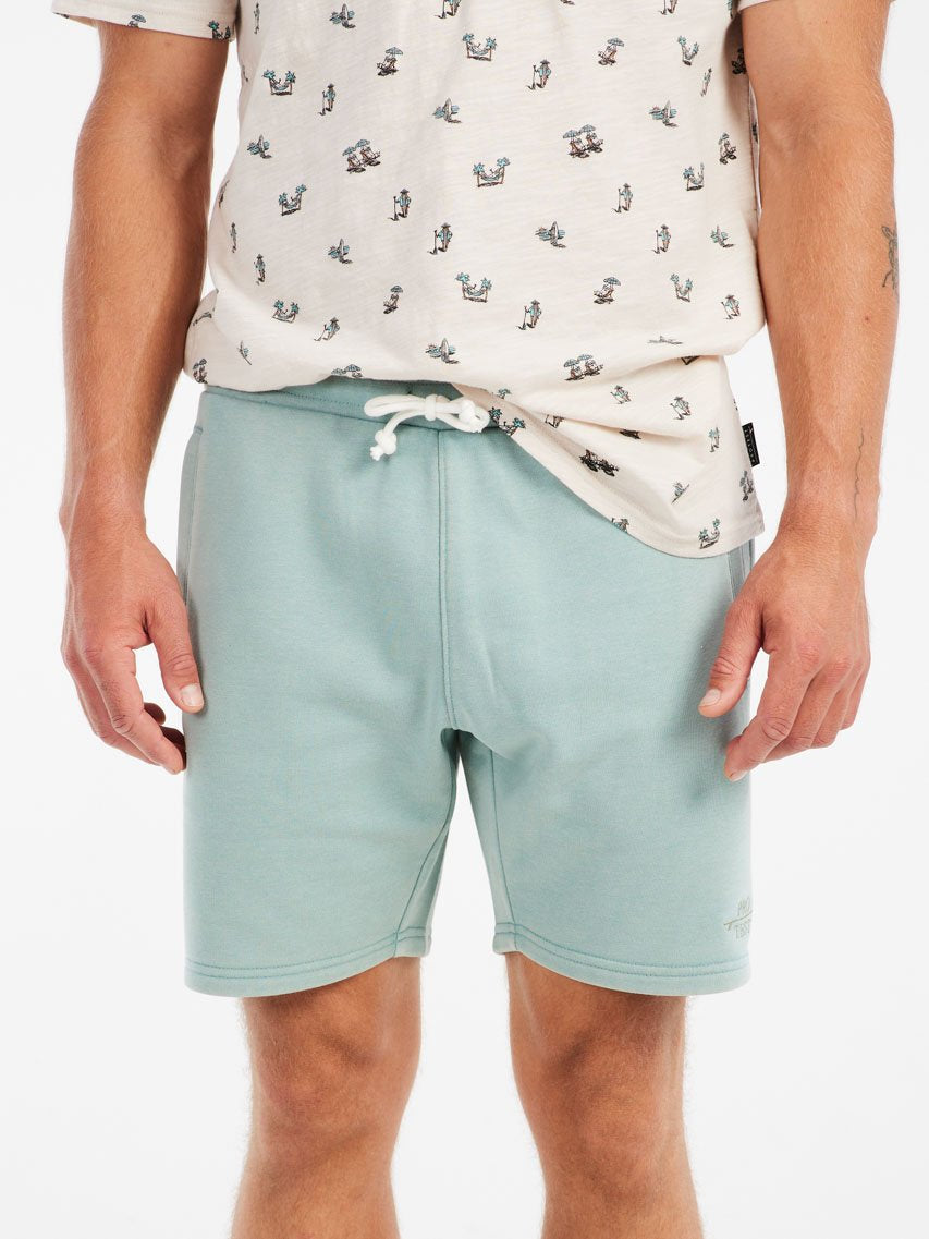 PROTEST PRTTedor Shorts | Arcticgreen