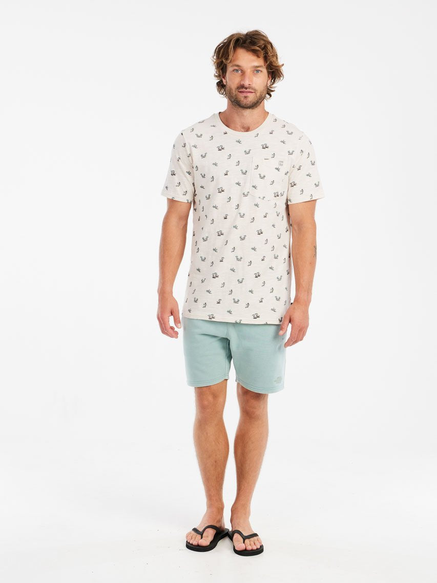 PROTEST PRTTedor Shorts | Arcticgreen