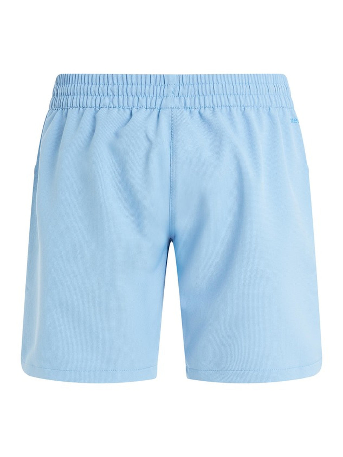 PROTEST PRTHAUPUKA beachshort | Havasublue