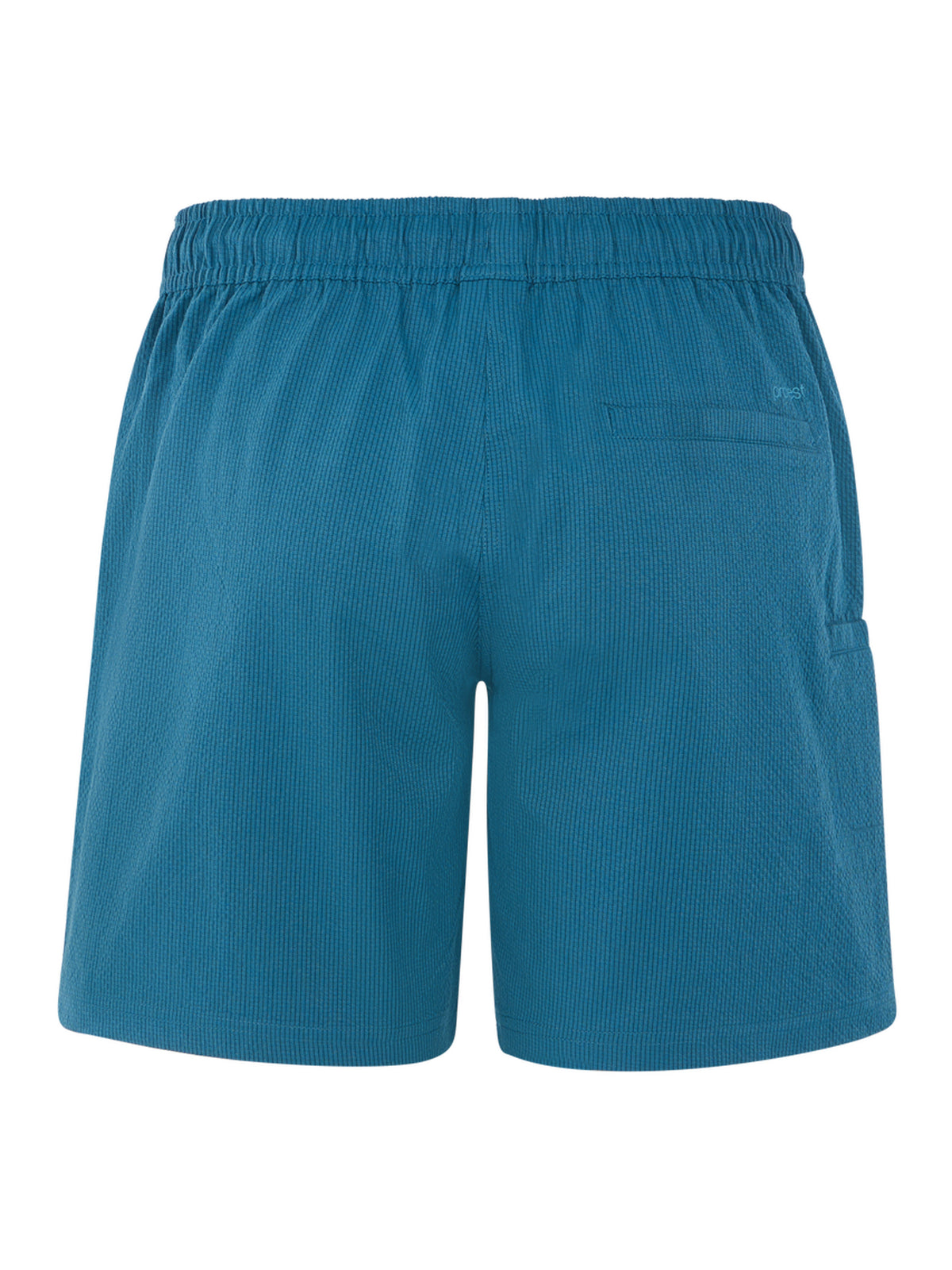PROTEST PRTAGAAT beachshort | Raku Blue