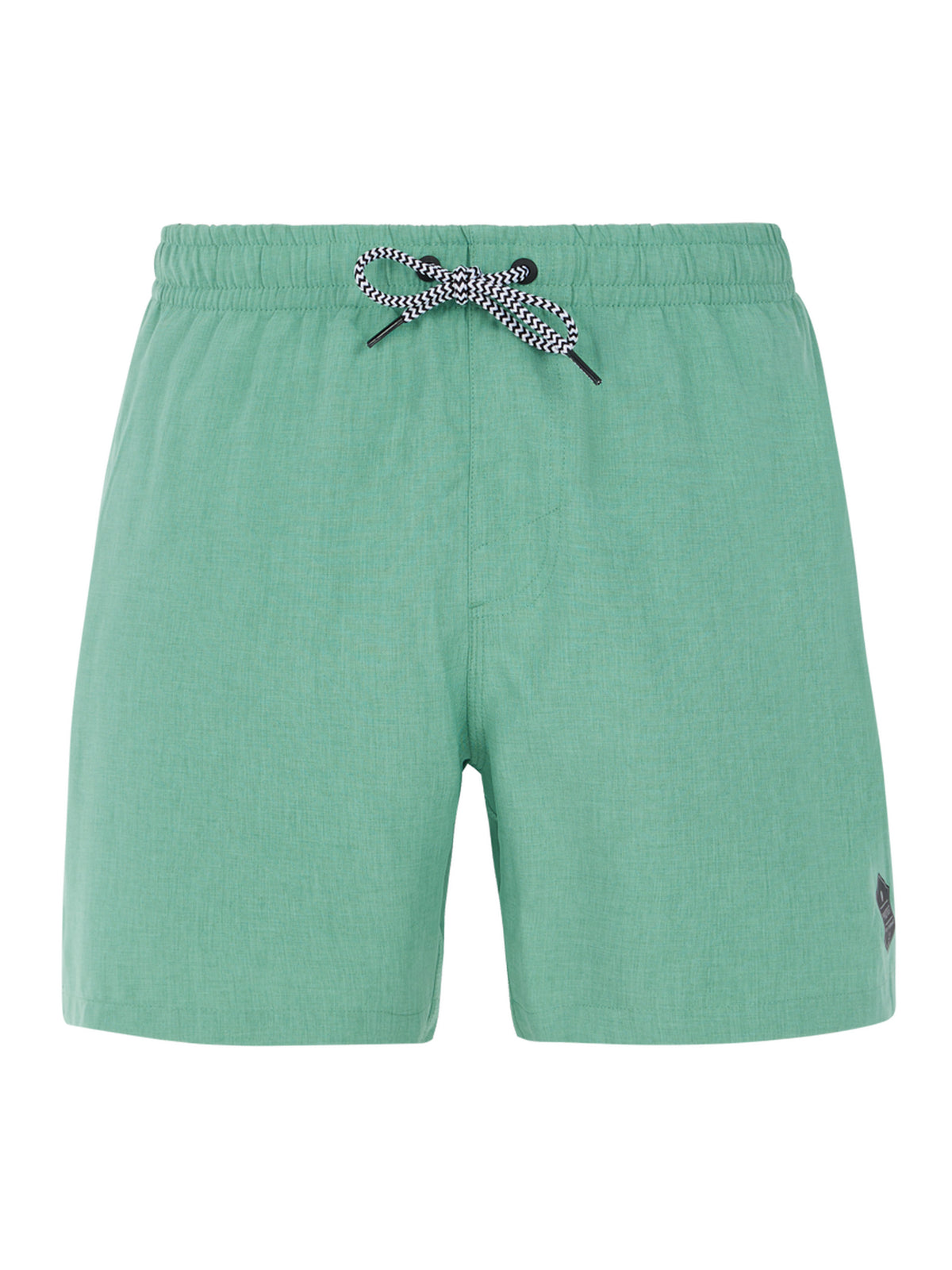 PROTEST Davey Beach Shorts | Frosty Green