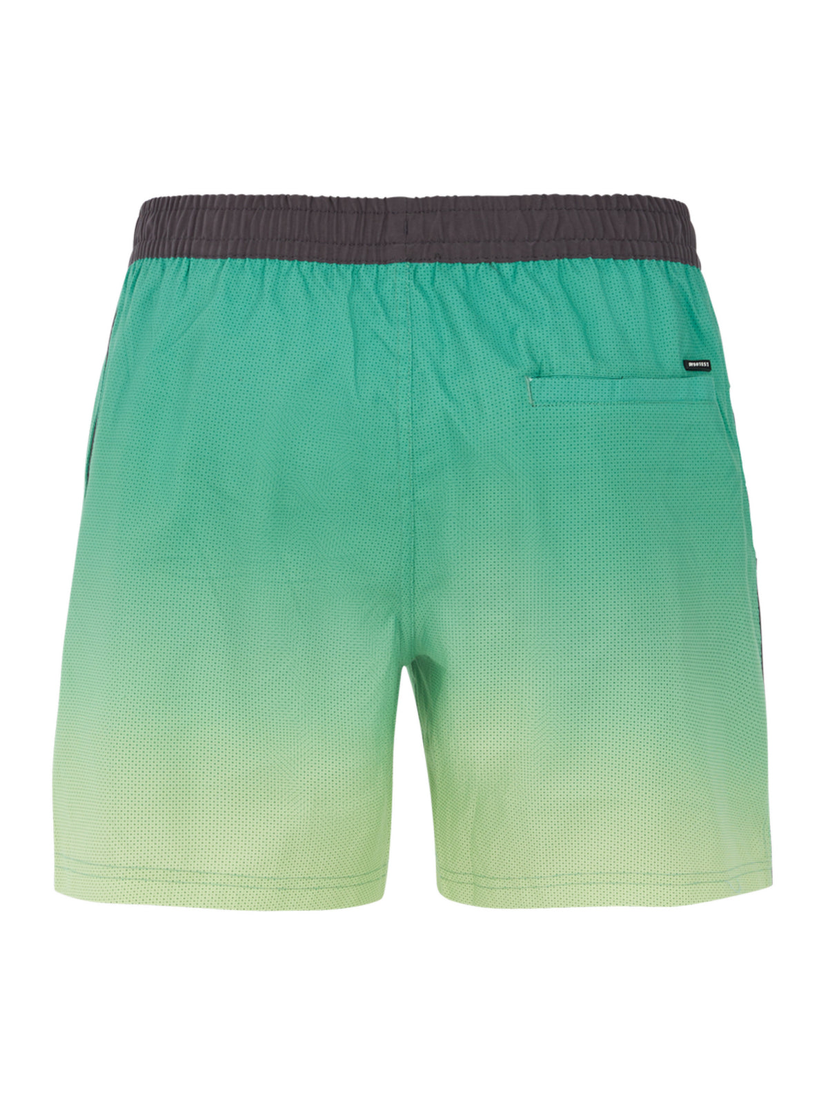 PROTEST PRTERIN beachshort | Frosty Green