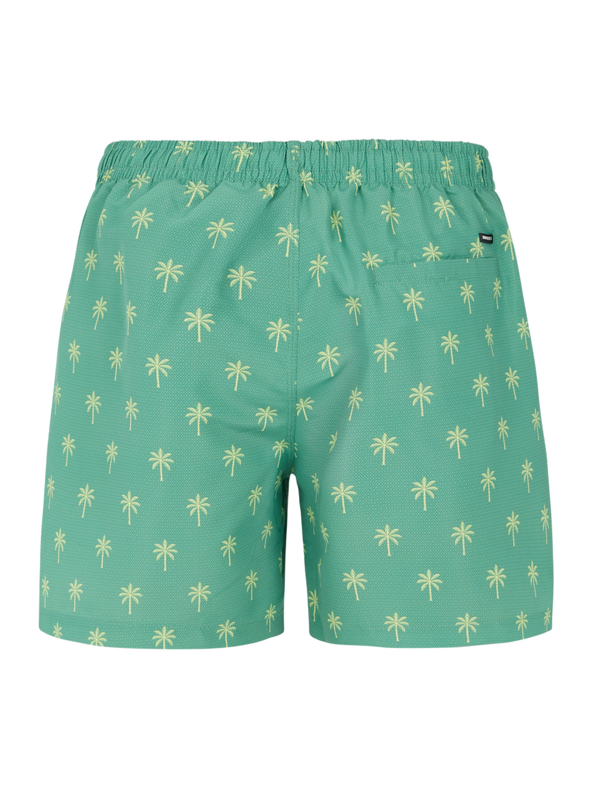PROTEST PRTALVIS beachshort | Frosty Green