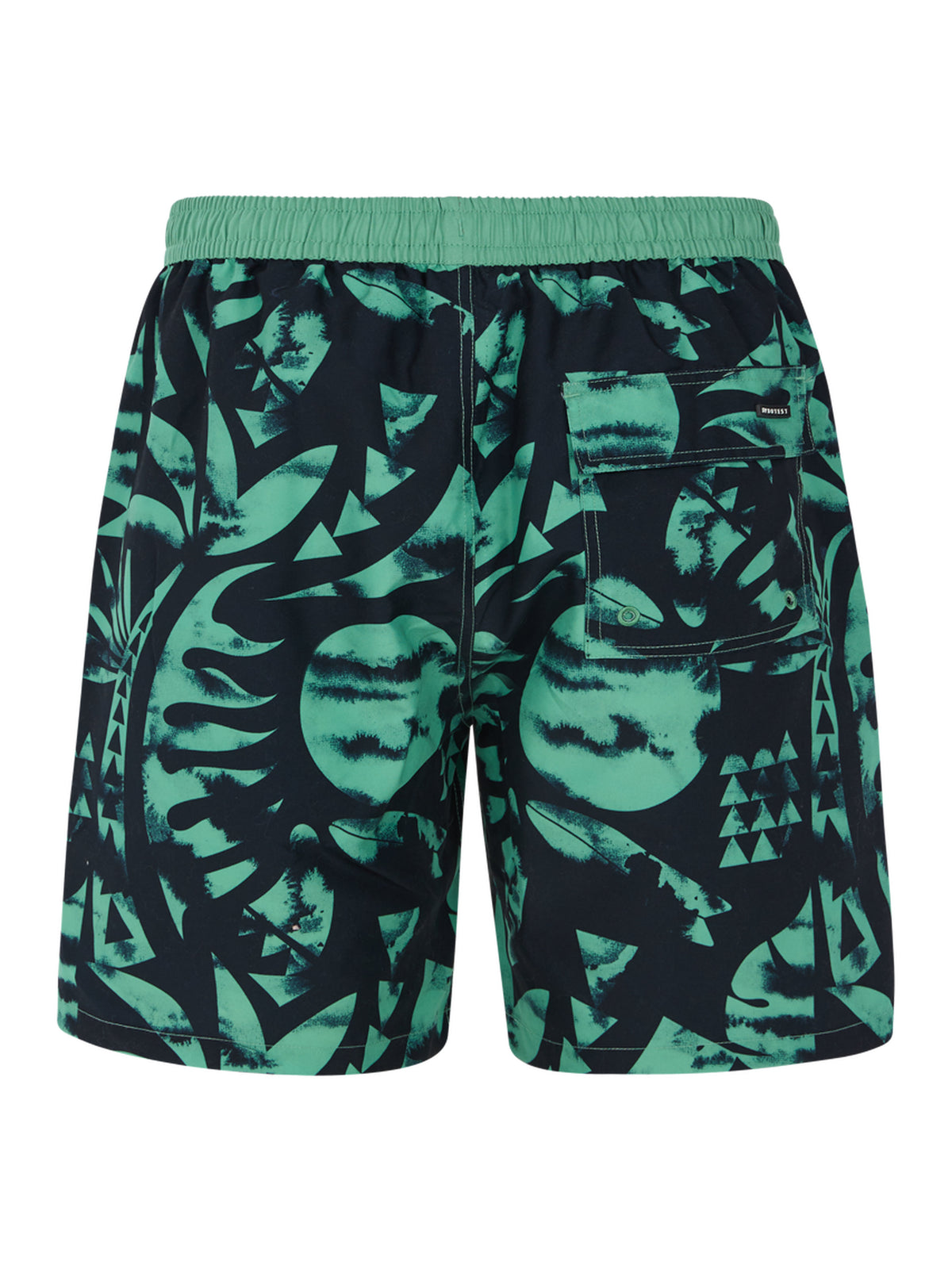 PROTEST PRTADMER beachshort | Frosty Green