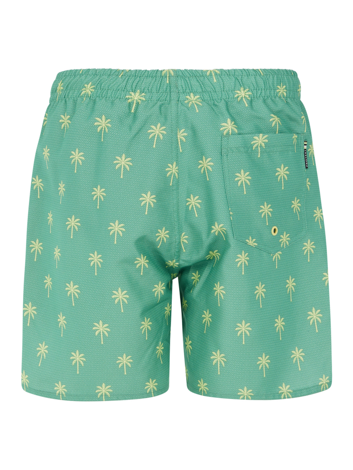 PROTEST PRTFONZ JR beachshort | Frosty Green