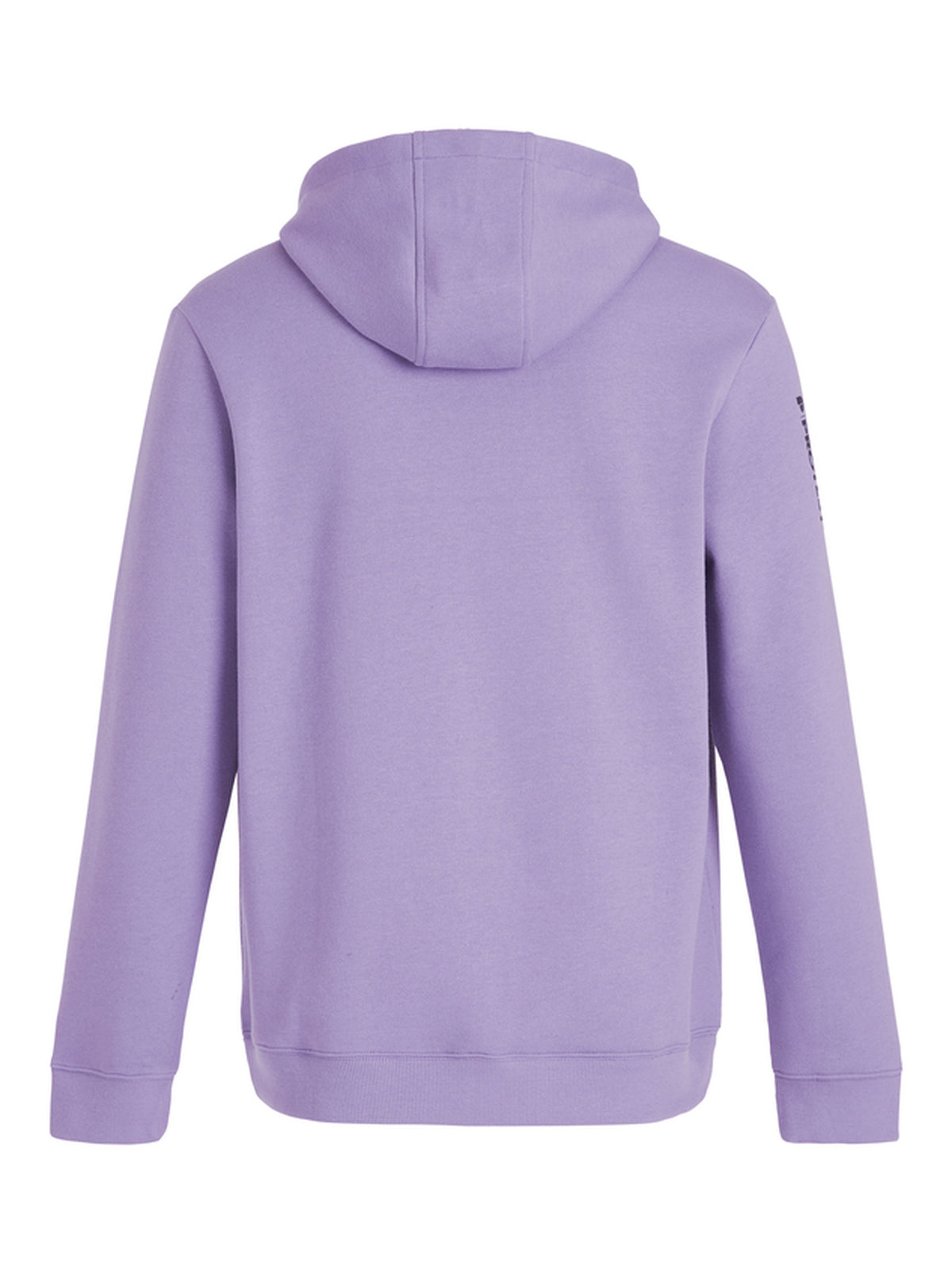 PROTEST CLASSIC LOGO HOODY men | Lilac