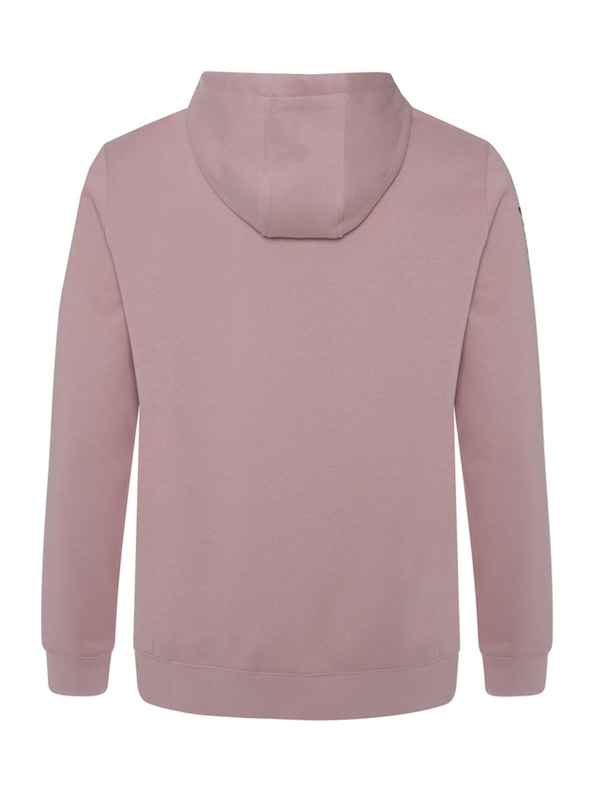 PROTEST CLASSIC LOGO HOODY men | Mauvepink