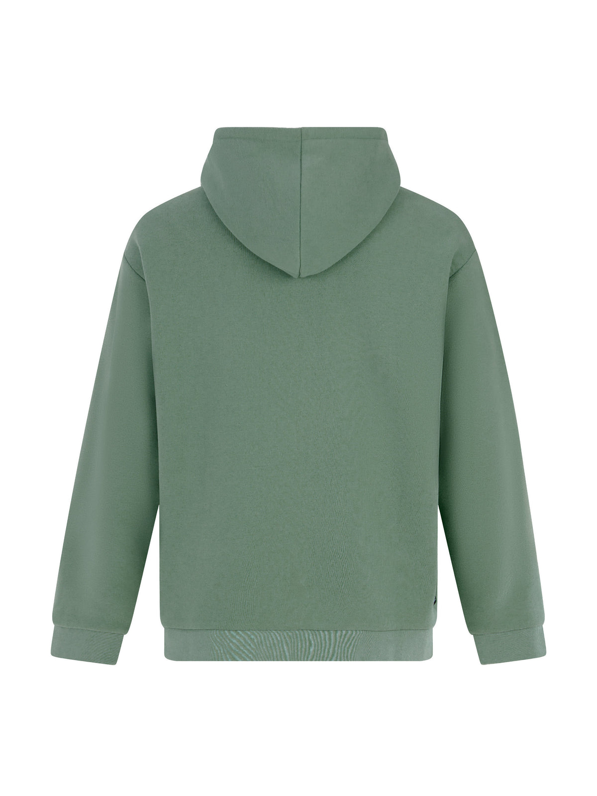 PROTEST PRTROMAN Hoodies | Aspen green
