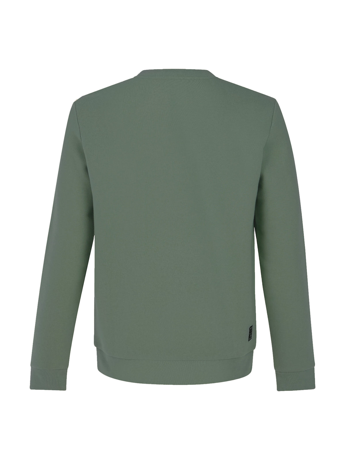 PROTEST PRTVITO Sweatshirts | Aspen green