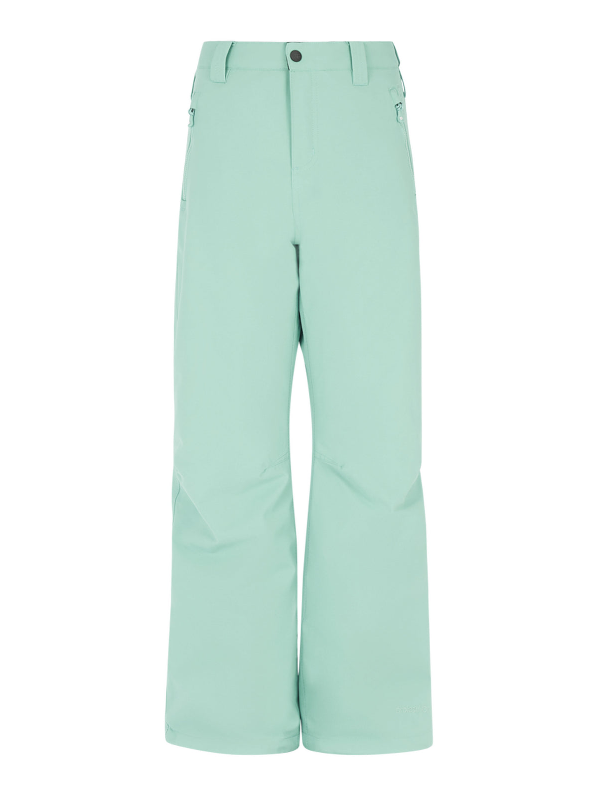 PROTEST PRTSTERIO JR Ski & Snowboard trousers | Green Baygreen