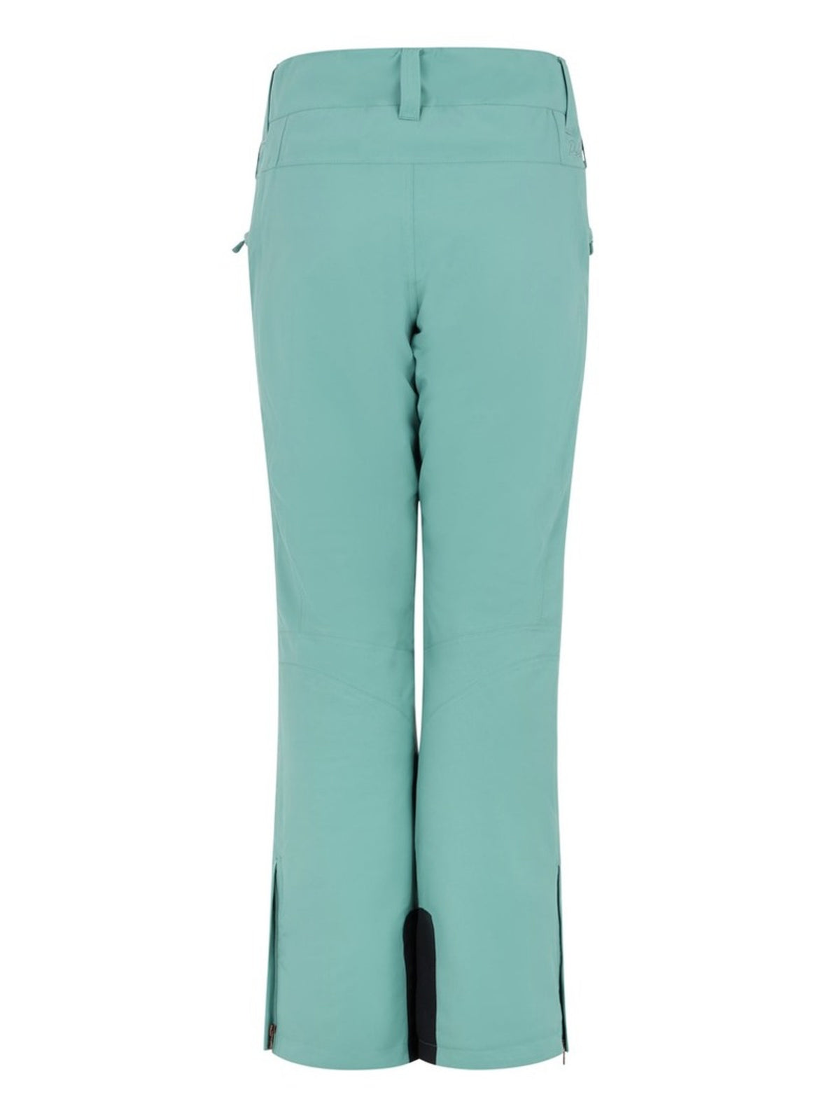 PROTEST KENSINGTON snowpants | Crocodile Green