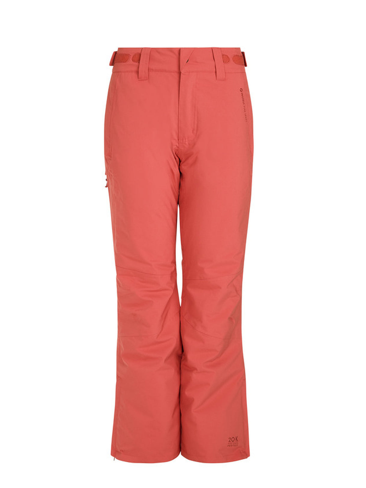 PROTEST CARMACKS snowpants | Rusticrust