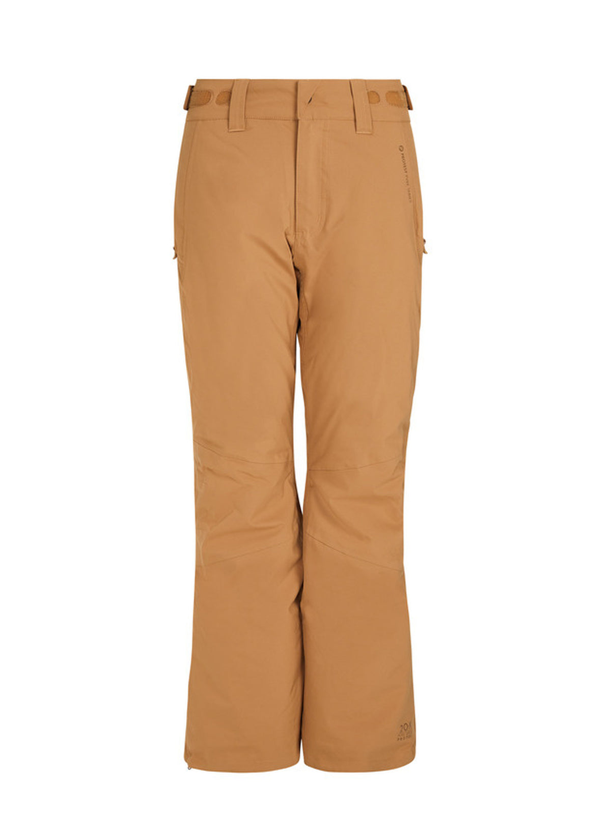PROTEST CARMACKS snowpants | Fudgecamel