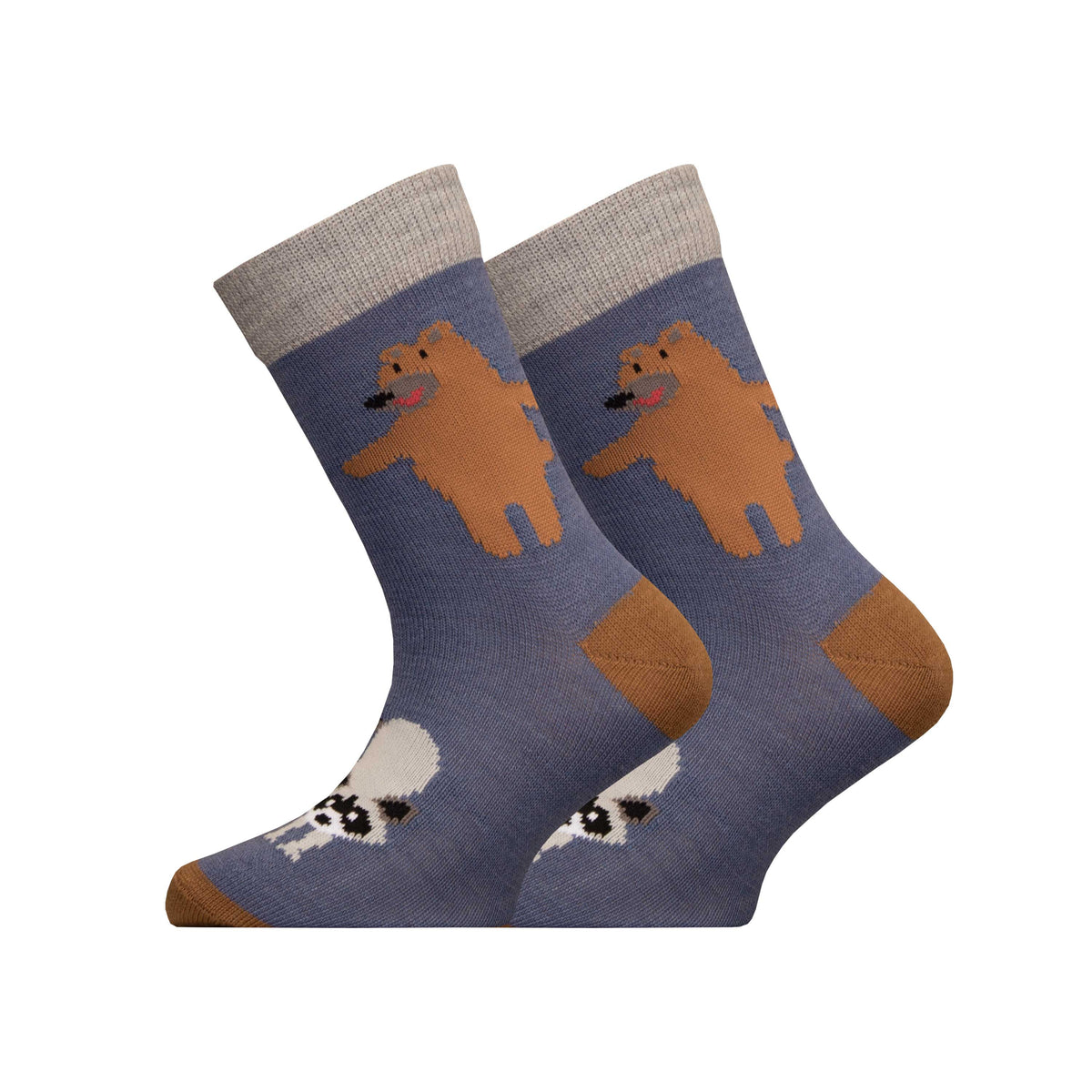 UPHILLSPORT UphillSport Raccoon -Kids | Blue, Grey | 6804164