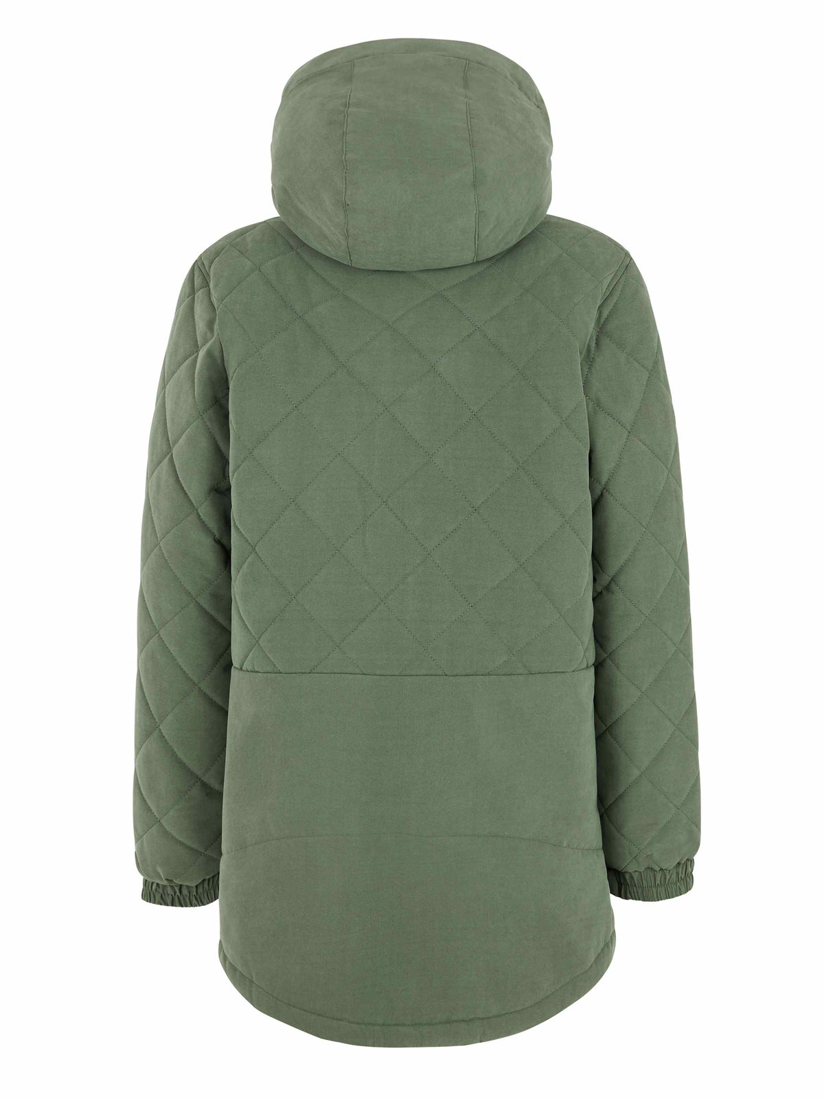 PROTEST PRTTAMIRES JR snowjacket | Botanic Green