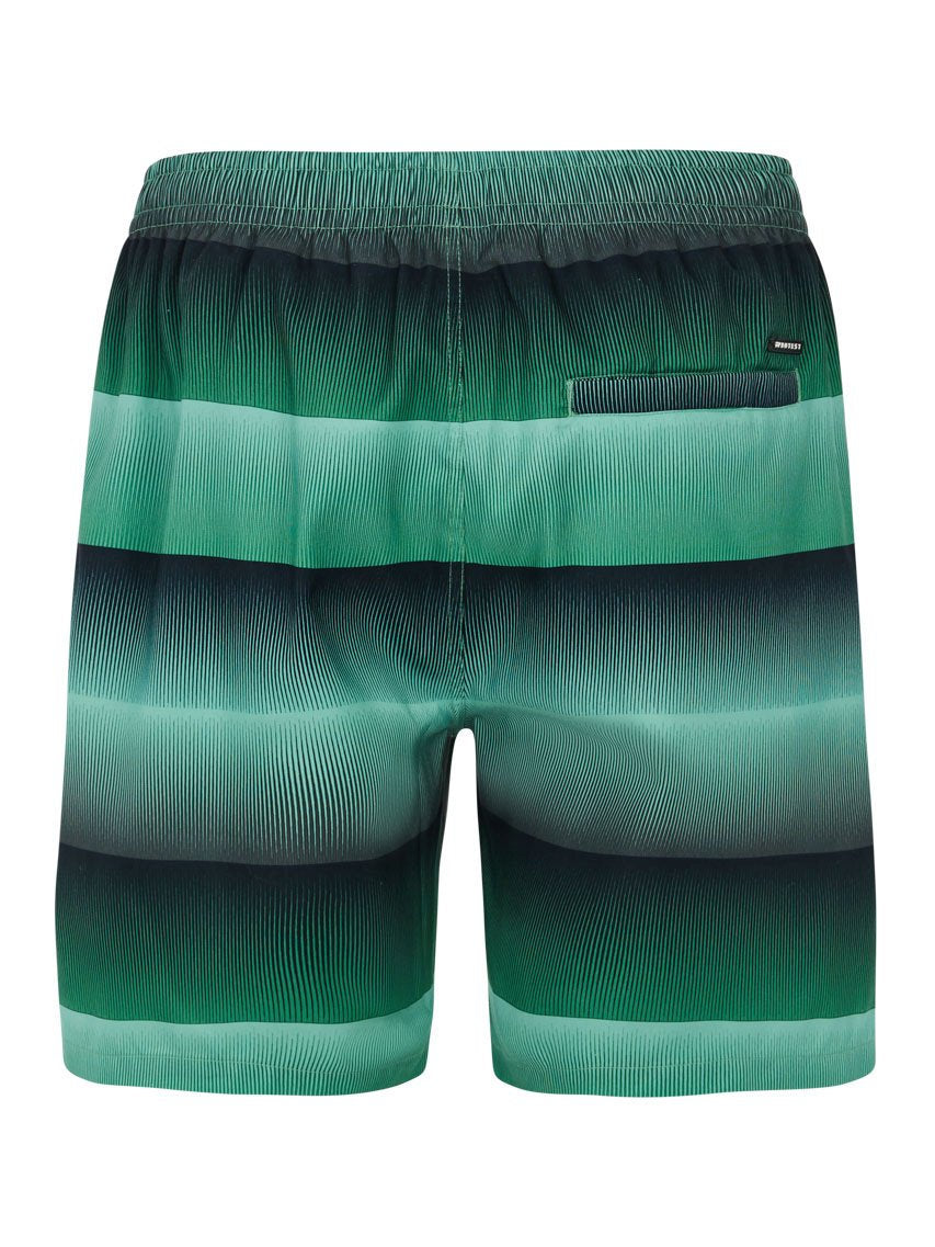 PROTEST PRTRadar Swim shorts | Cactus Green