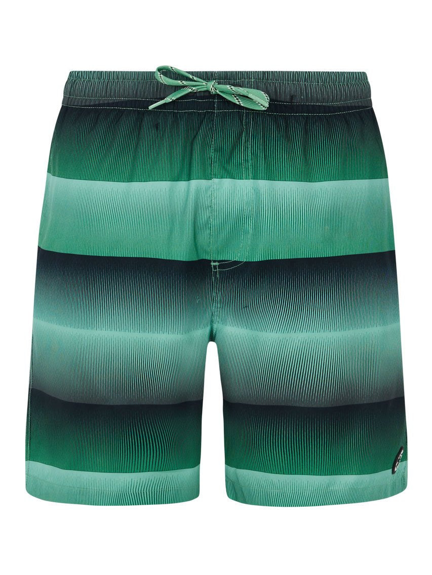 PROTEST PRTRadar Swim shorts | Cactus Green