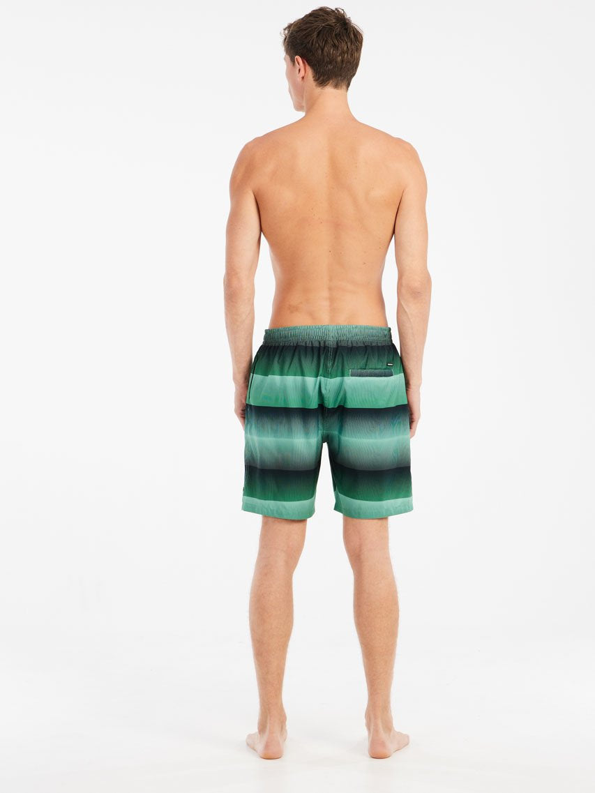 PROTEST PRTRadar Swim shorts | Cactus Green