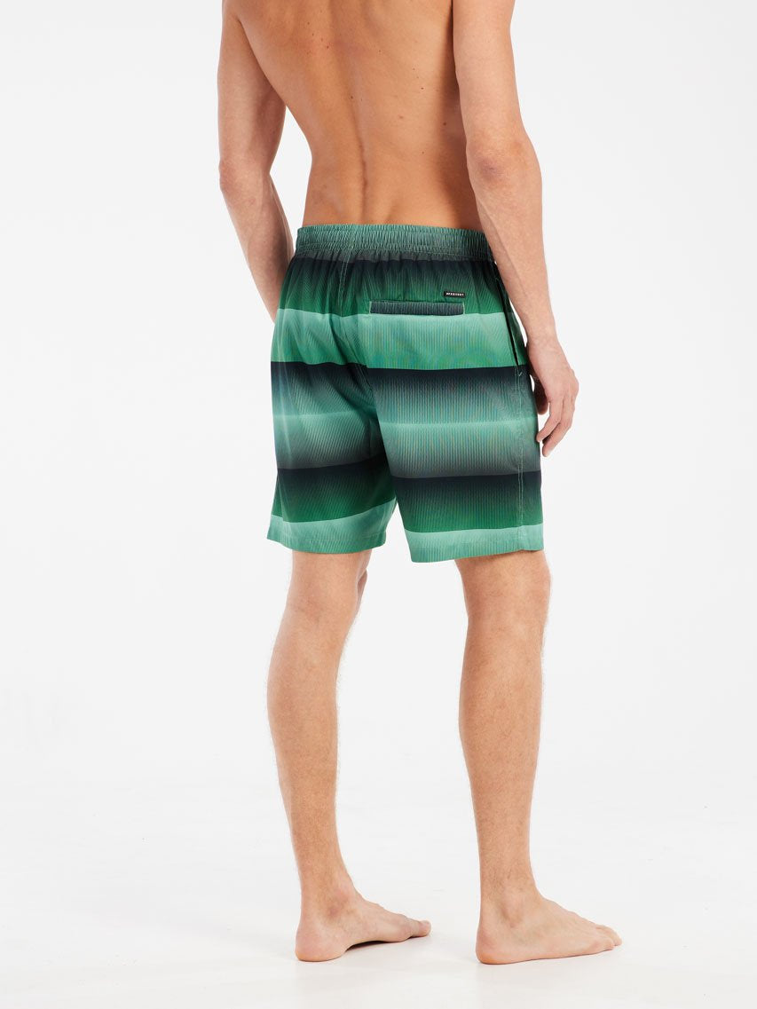 PROTEST PRTRadar Swim shorts | Cactus Green