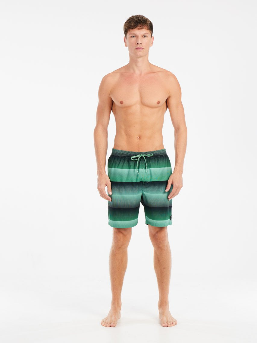PROTEST PRTRadar Swim shorts | Cactus Green