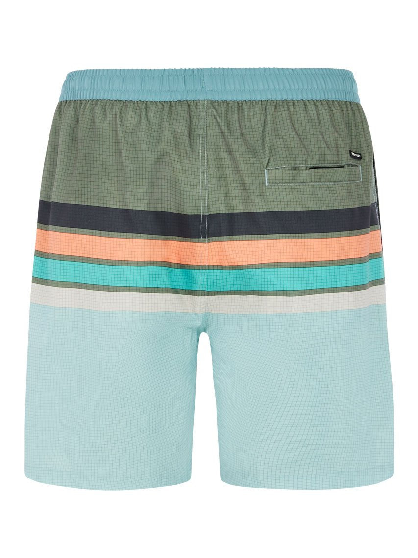 PROTEST PRTAvik Swim shorts | Pale Green