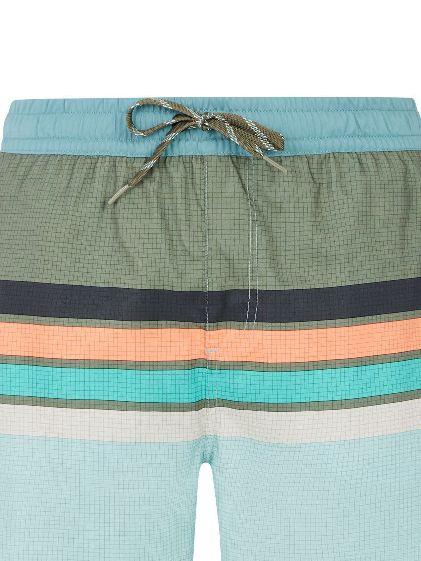 PROTEST PRTAvik Swim shorts | Pale Green