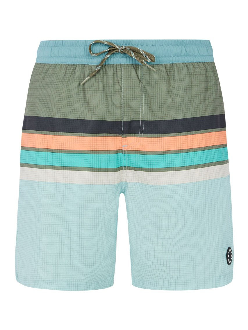 PROTEST PRTAvik Swim shorts | Pale Green