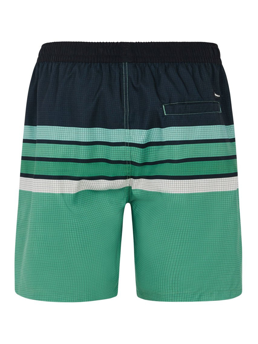 PROTEST PRTAvik Swim shorts | Cactus Green