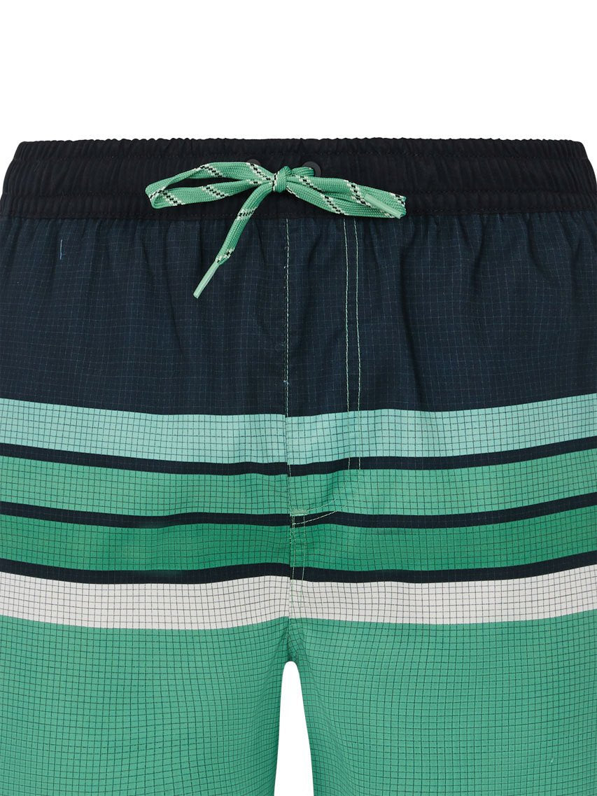 PROTEST PRTAvik Swim shorts | Cactus Green