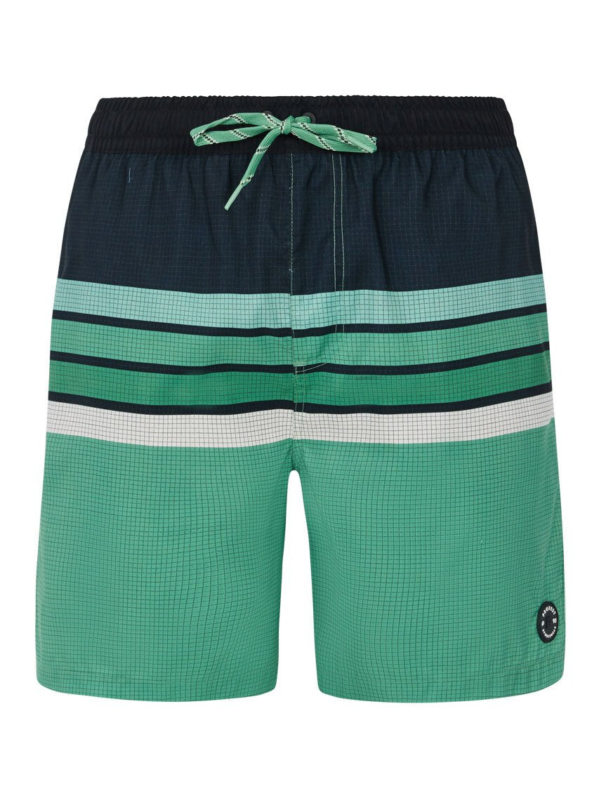PROTEST PRTAvik Swim shorts | Cactus Green