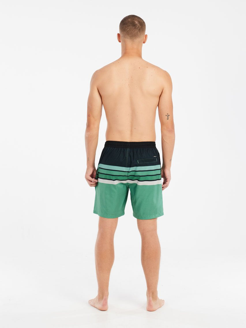 PROTEST PRTAvik Swim shorts | Cactus Green