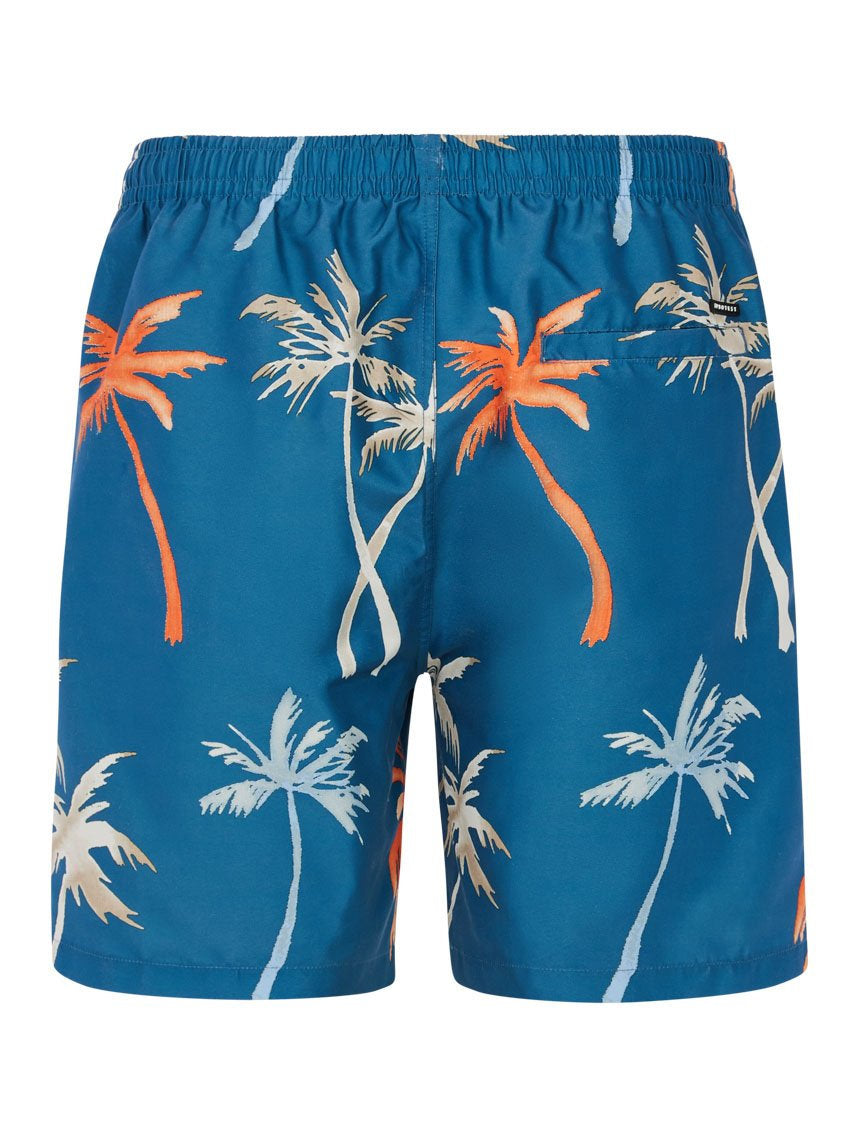 PROTEST PRTHear Swim shorts | Raku Blue