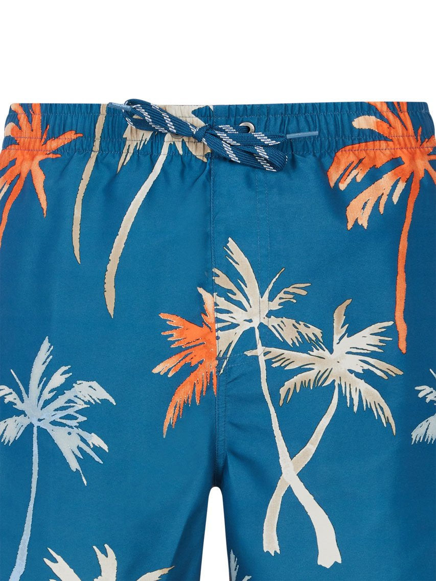 PROTEST PRTHear Swim shorts | Raku Blue