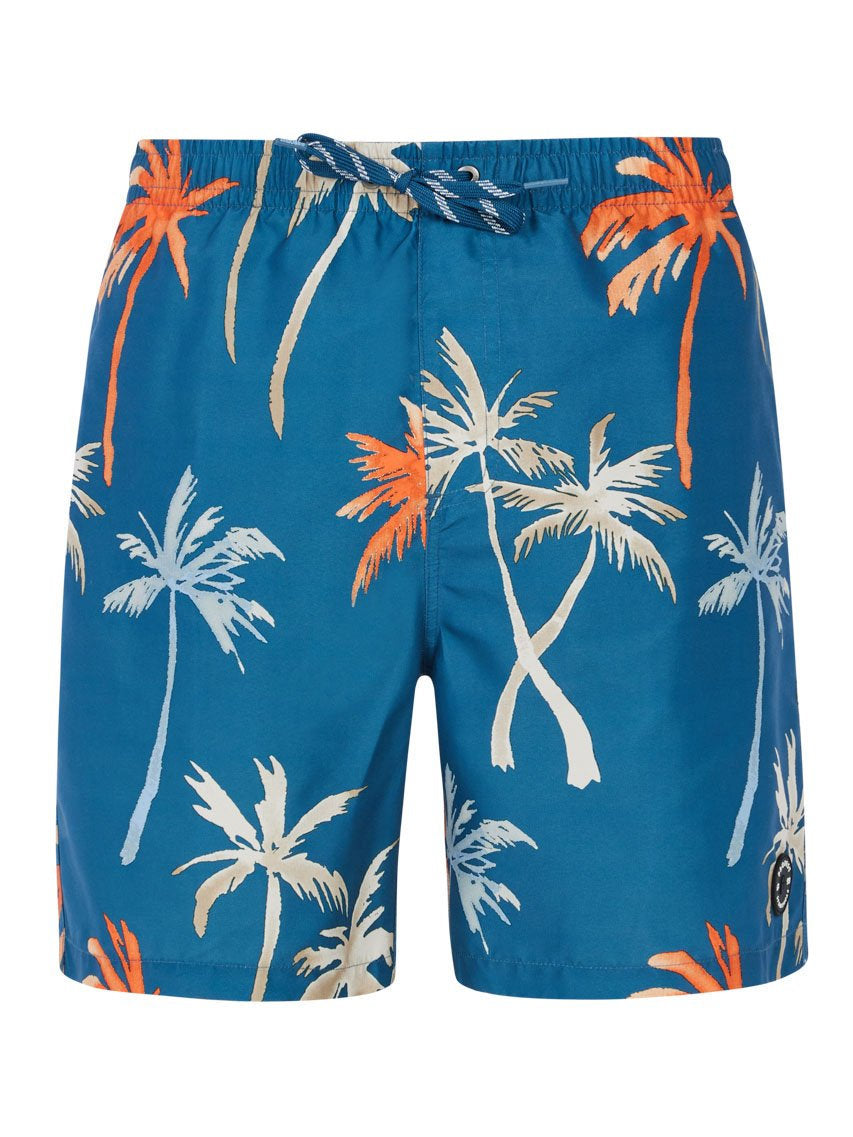 PROTEST PRTHear Swim shorts | Raku Blue