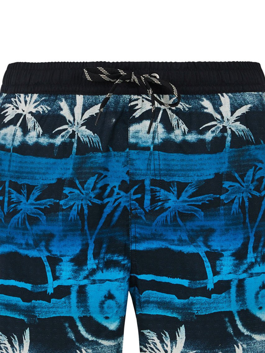 PROTEST PRTDelton Swim shorts | Olympic Blue